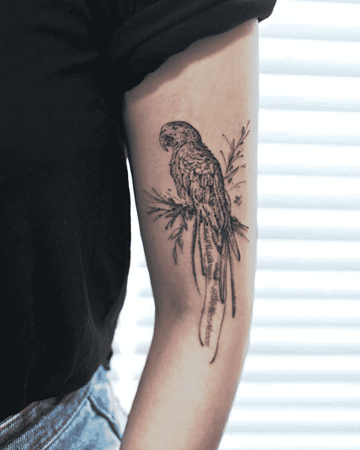 Parrot Tattoo Picture
