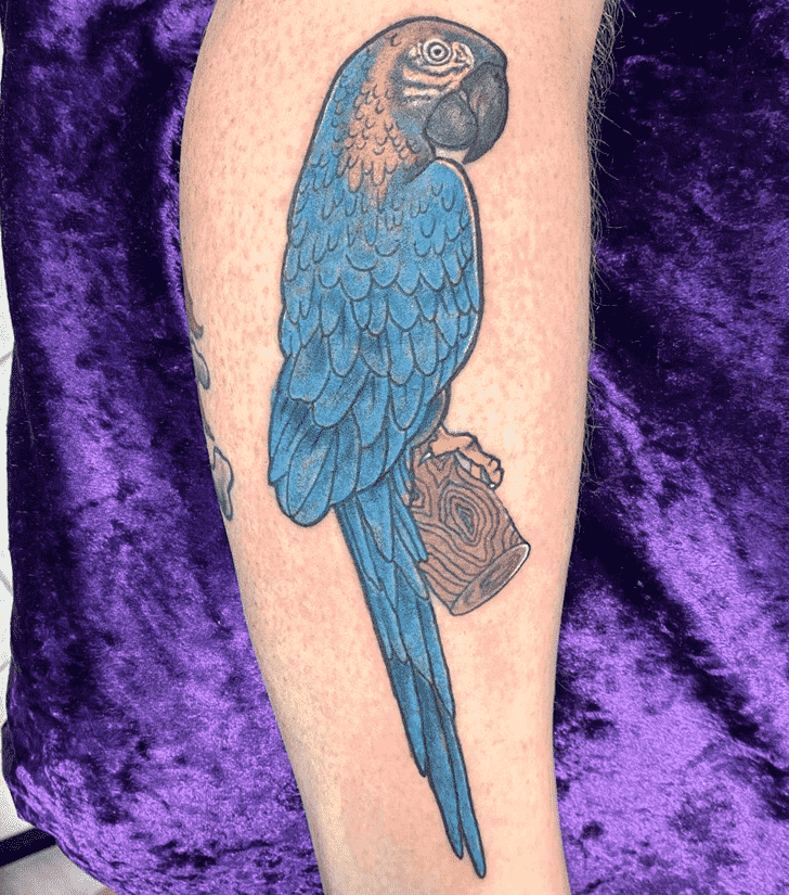 Parrot Tattoo Snapshot