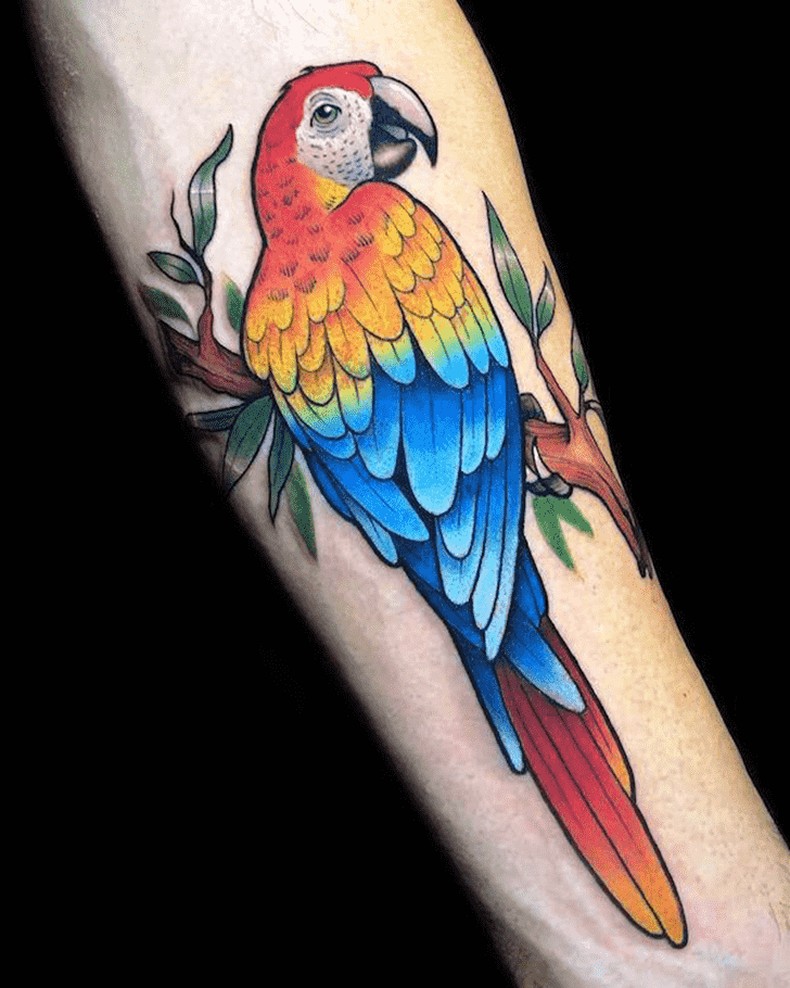 Parrot Tattoo Snapshot