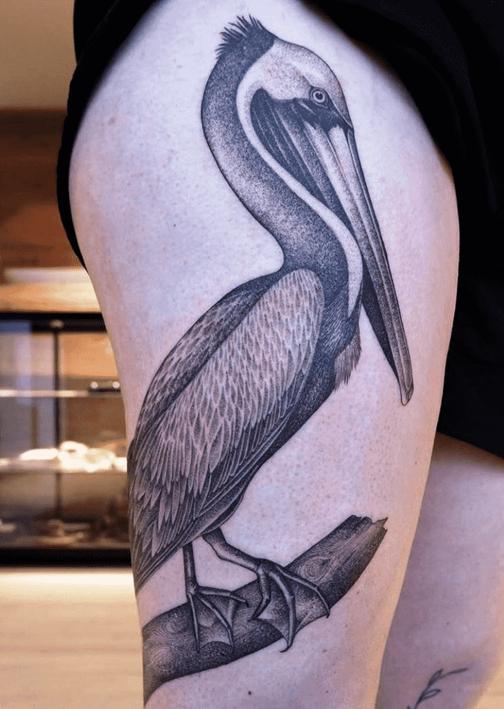Pelican Tattoo Photo