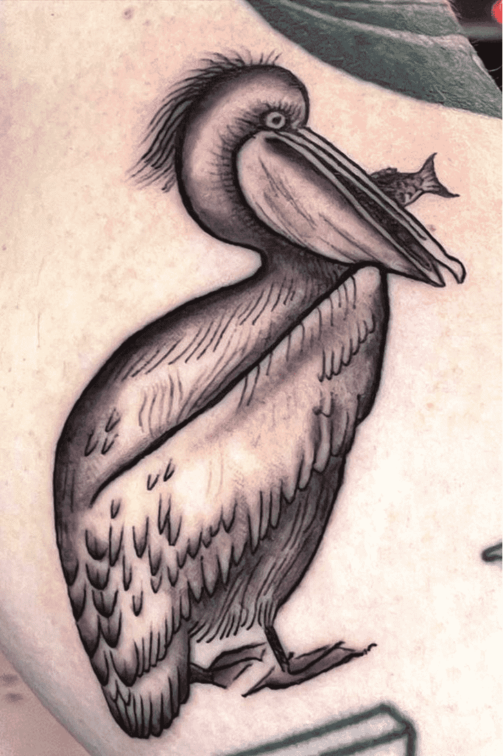 Pelican Tattoo Photos