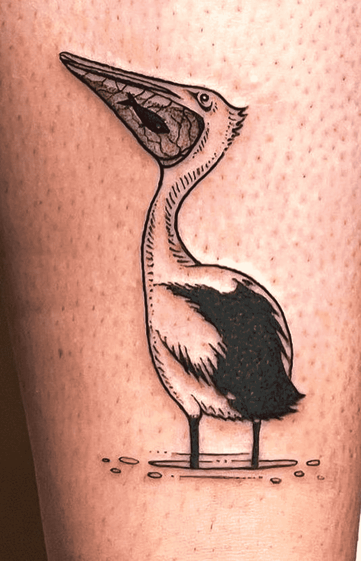 Pelican Tattoo Shot
