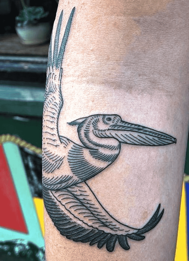 Pelican Tattoo Design Image