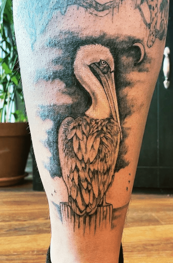 Pelican Tattoo Photos