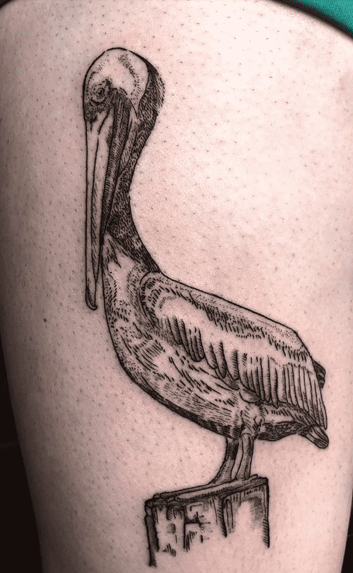 Pelican Tattoo Photograph