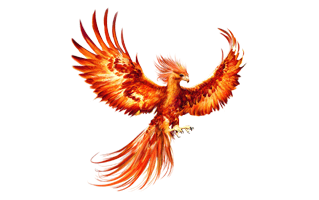 Phoenix Bird Tattoo Ideas