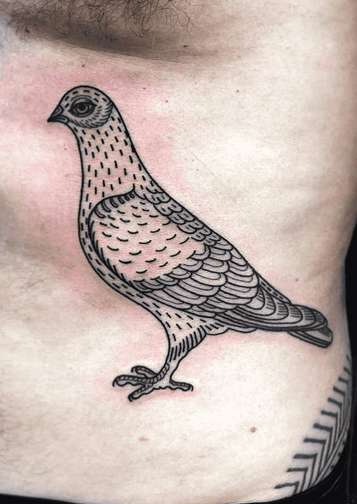 Pigeon Tattoo Photo