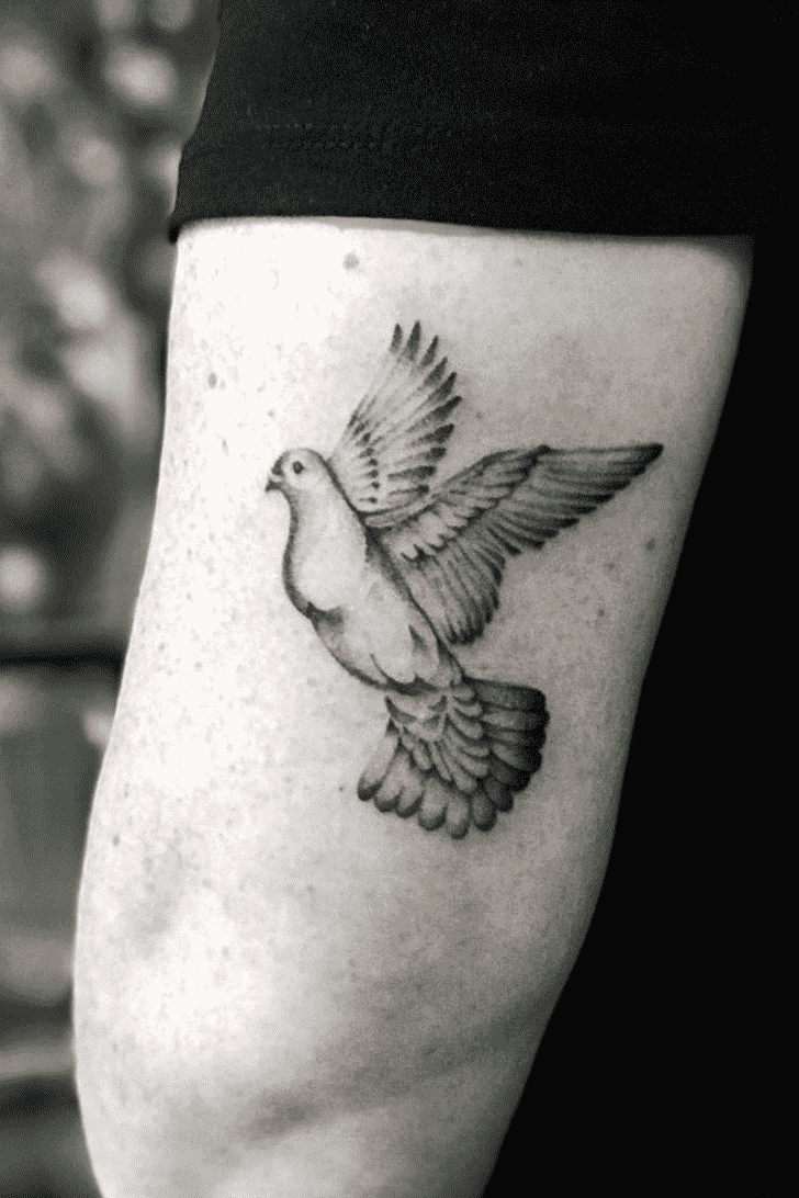 Pigeon Tattoo Picture