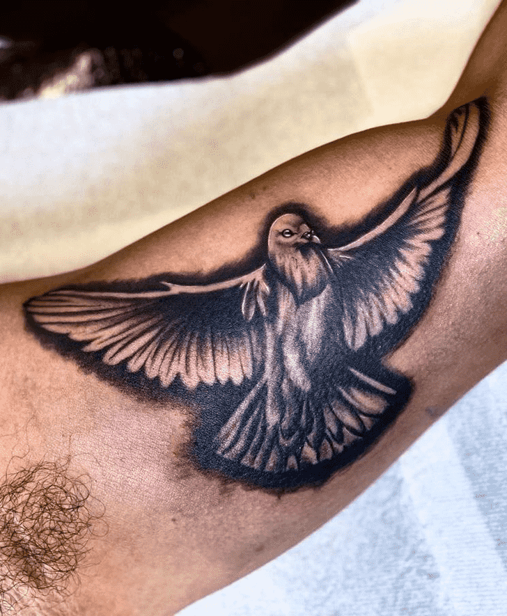 Pigeon Tattoo Photograph