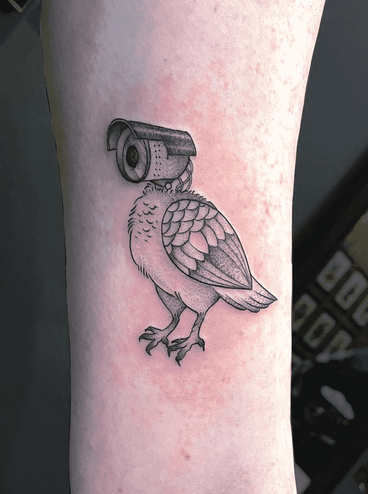 Pigeon Tattoo Ink