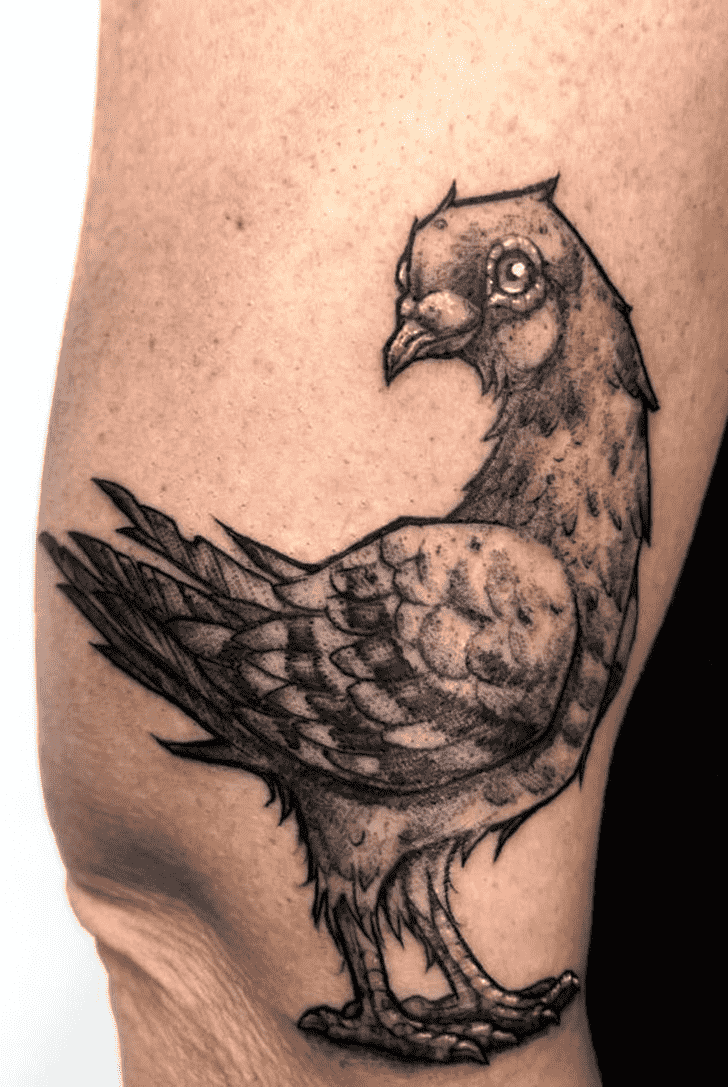 Pigeon Tattoo Figure