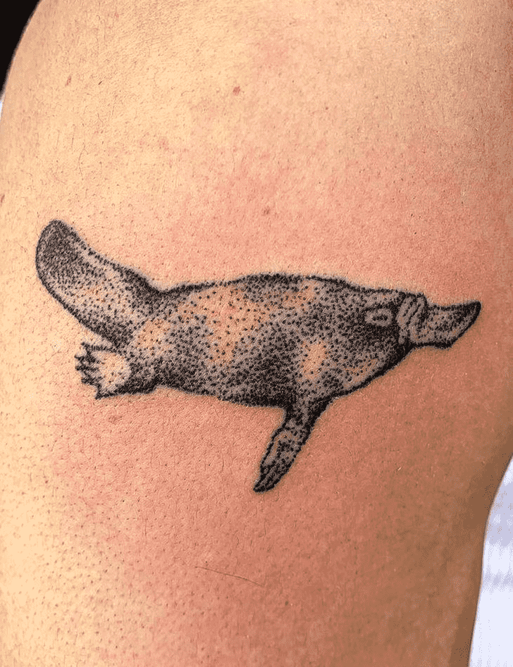 Platypus Tattoo Photo