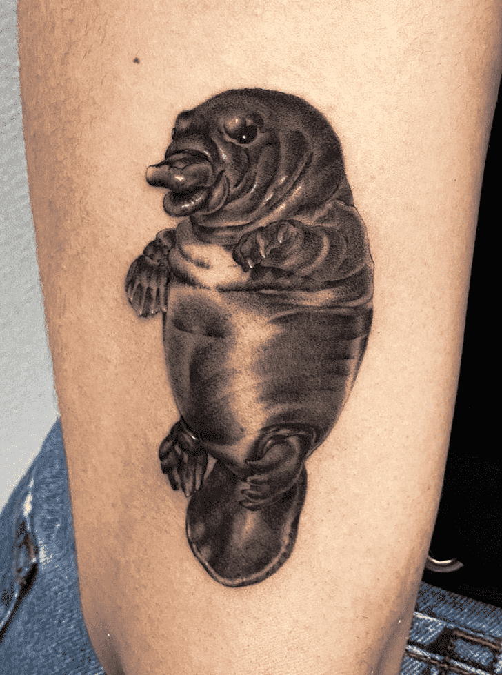 Platypus Tattoo Shot