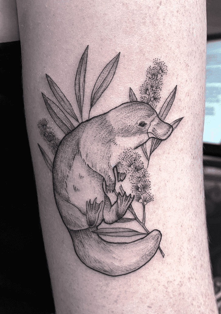 Platypus Tattoo Ink