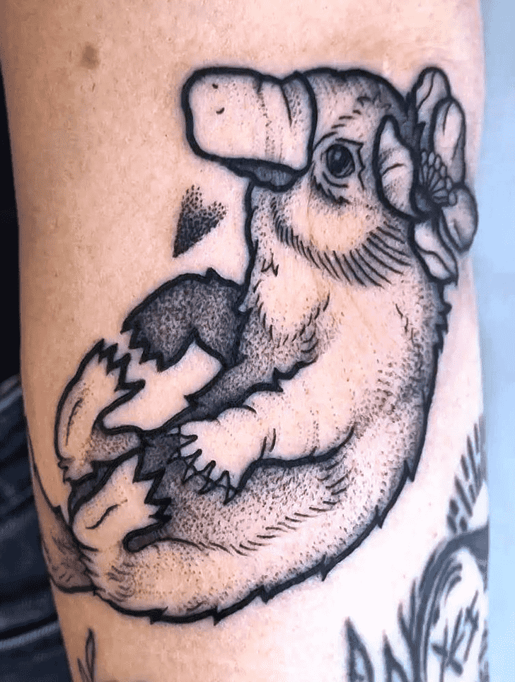 Platypus Tattoo Shot