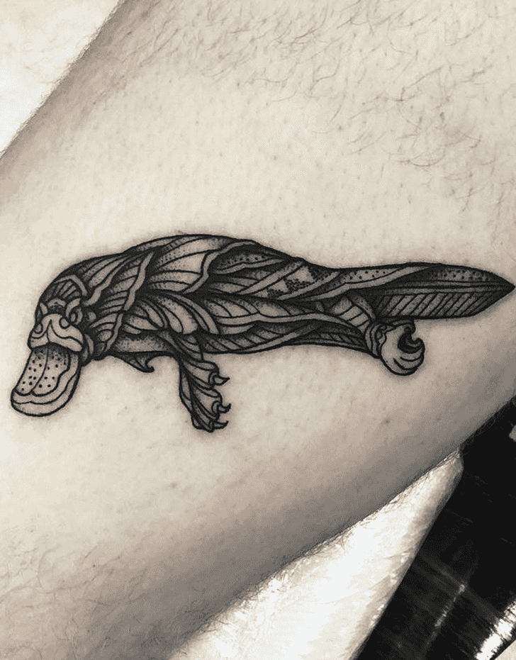 Platypus Tattoo Photo