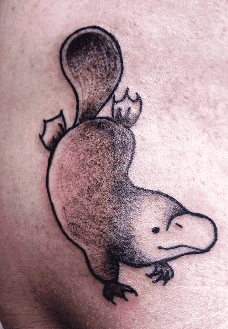 Platypus Tattoo Portrait