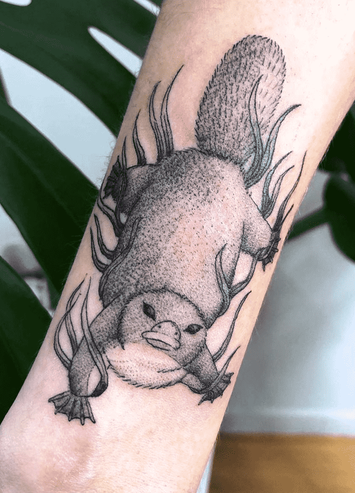 Platypus Tattoo Snapshot
