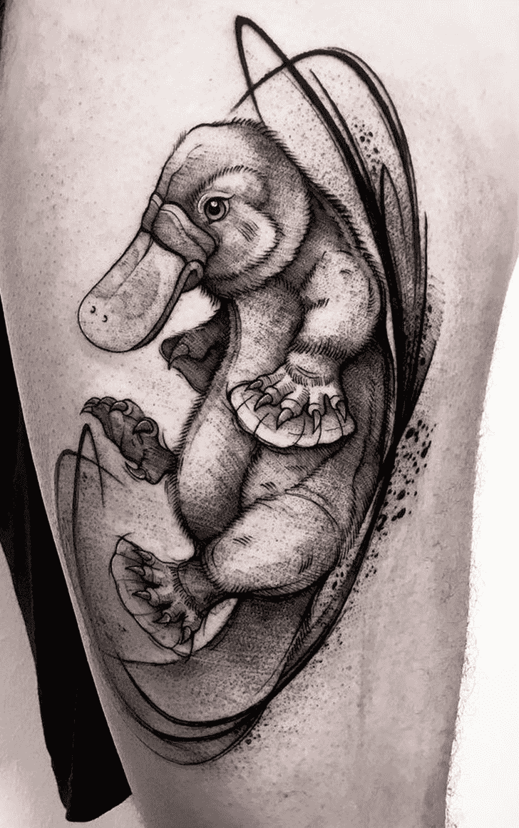 Platypus Tattoo Photograph