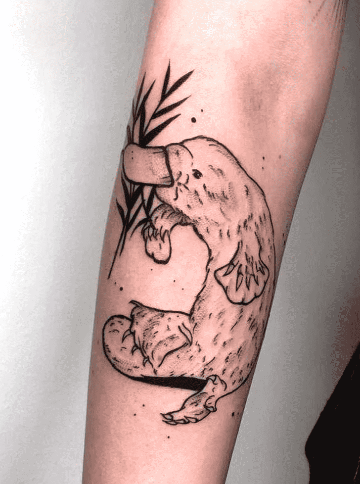 Platypus Tattoo Ink