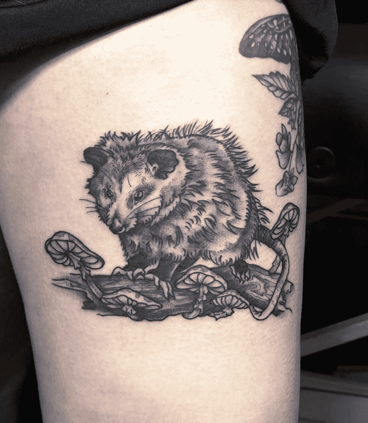 Possum Tattoo Photos