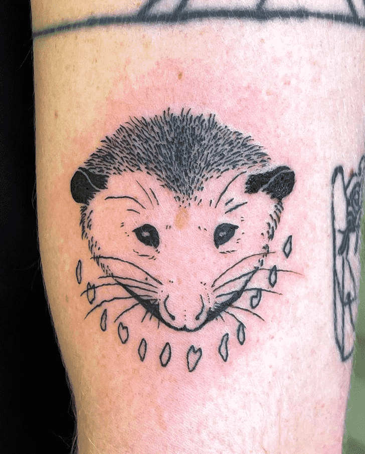 Possum Tattoo Portrait