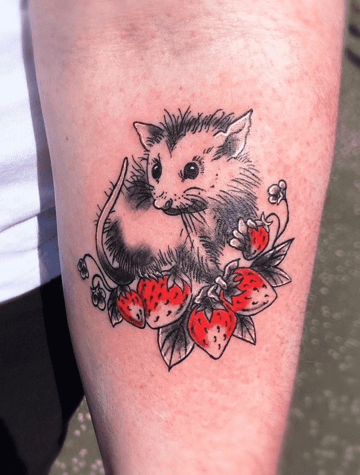 Possum Tattoo Design Image