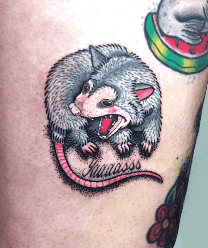 Possum Tattoo Photograph