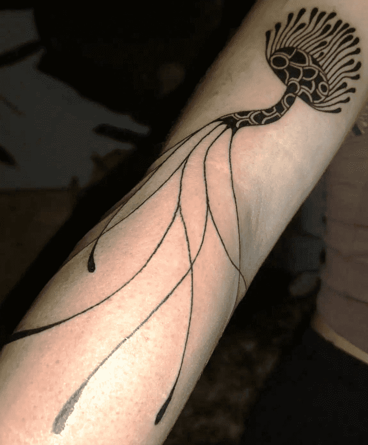 Root Tattoo Picture
