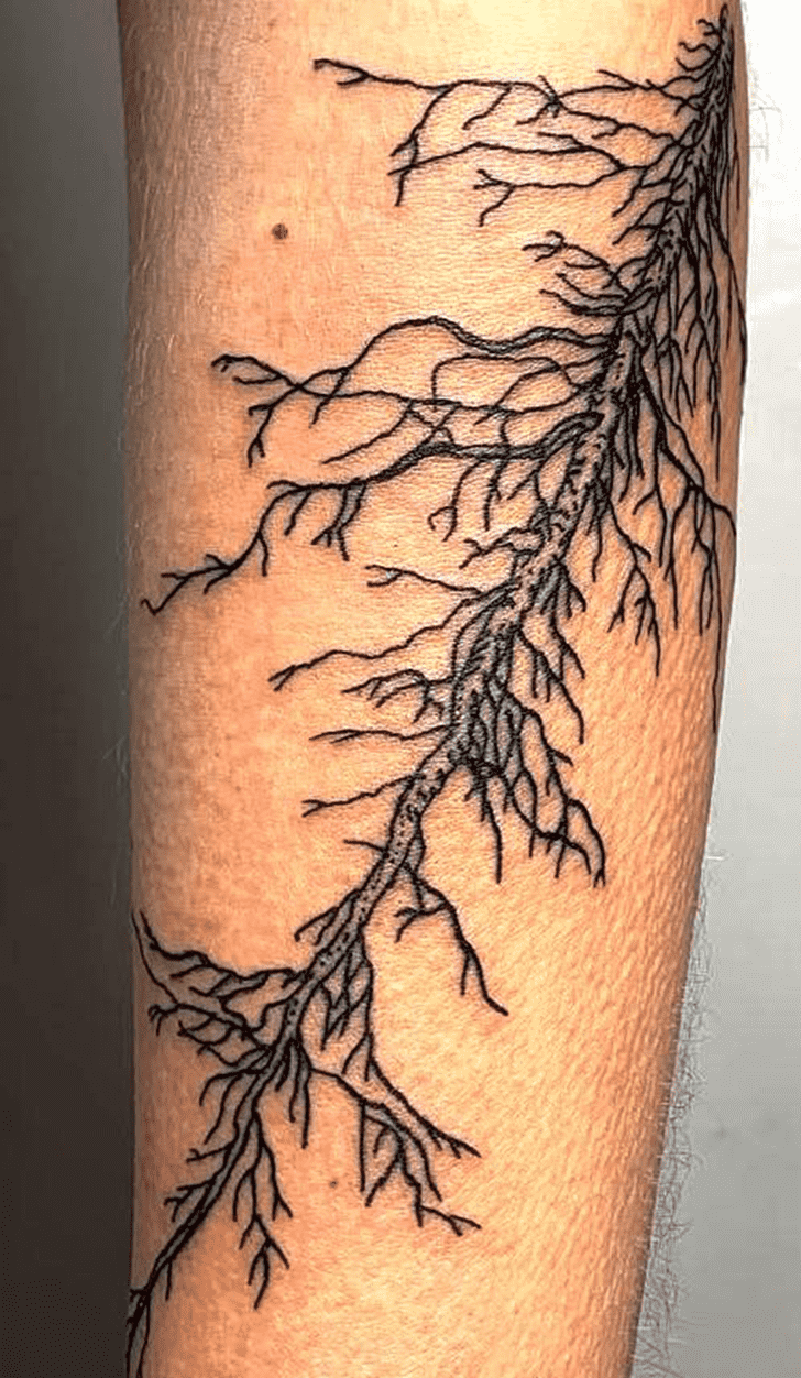 Root Tattoo Design Image