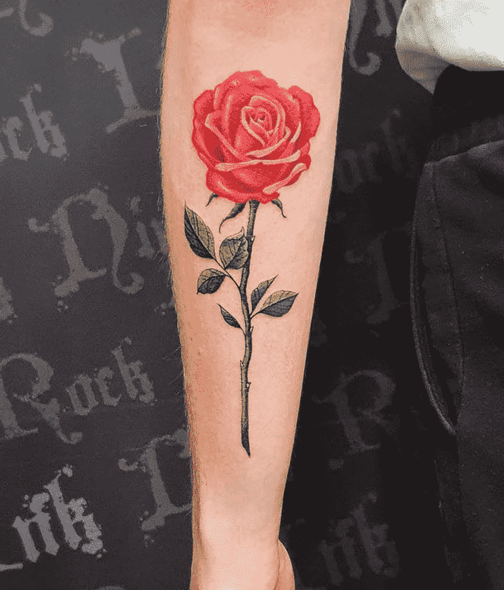 Rose Tattoo Photos