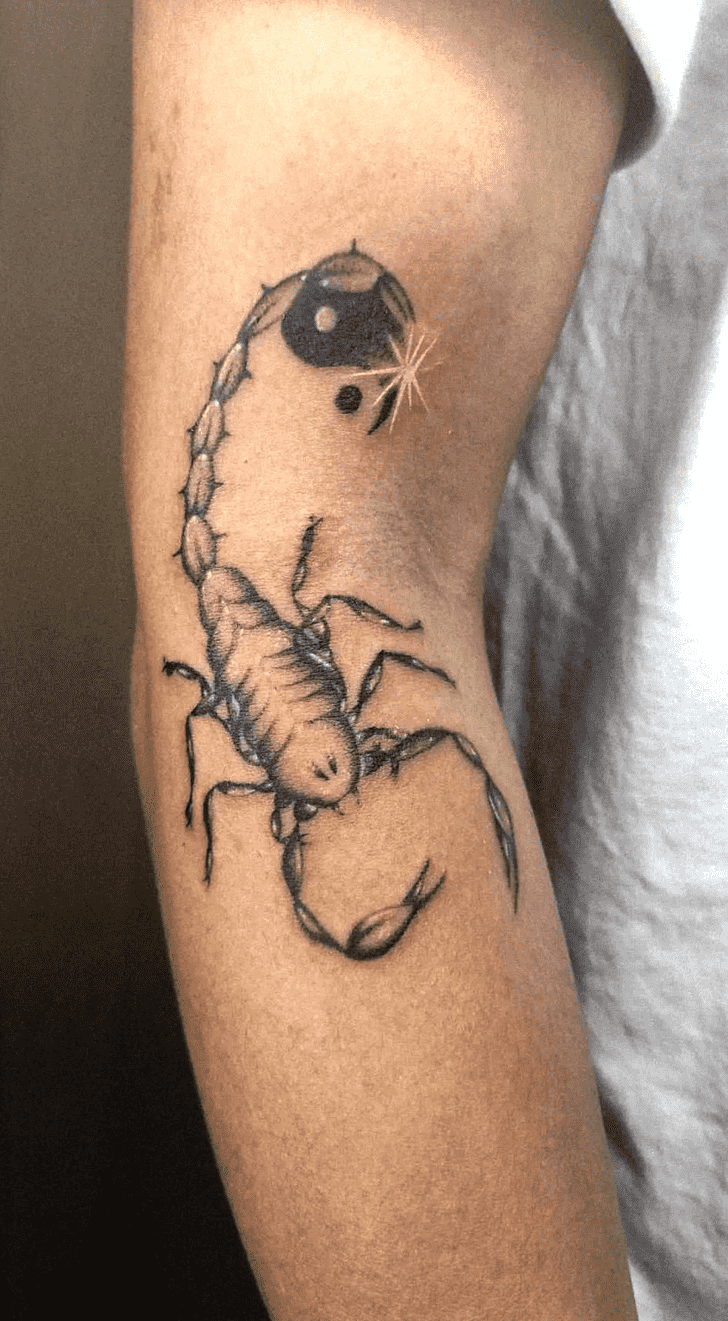 Scorpion Tattoo Photograph