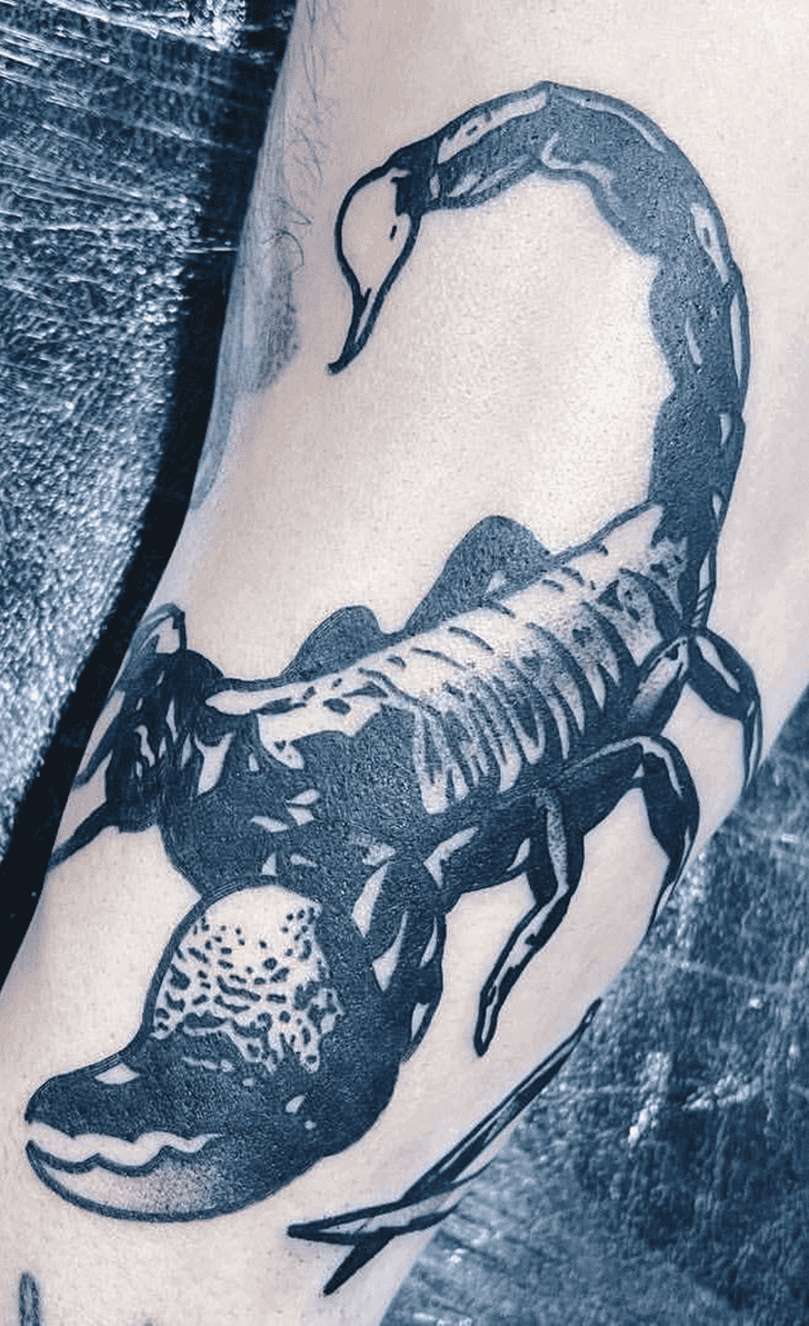 Scorpion Tattoo Photograph