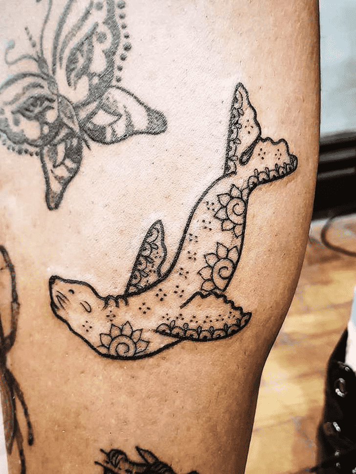 Sea Lion Tattoo Picture