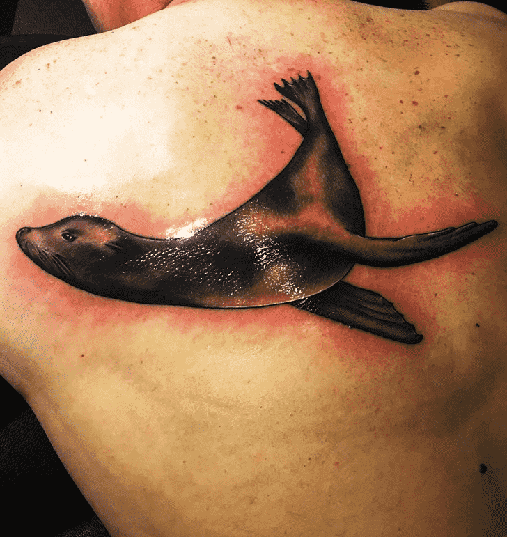 Sea Lion Tattoo Photo