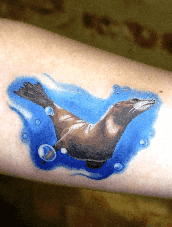 Sea Lion Tattoo Photos