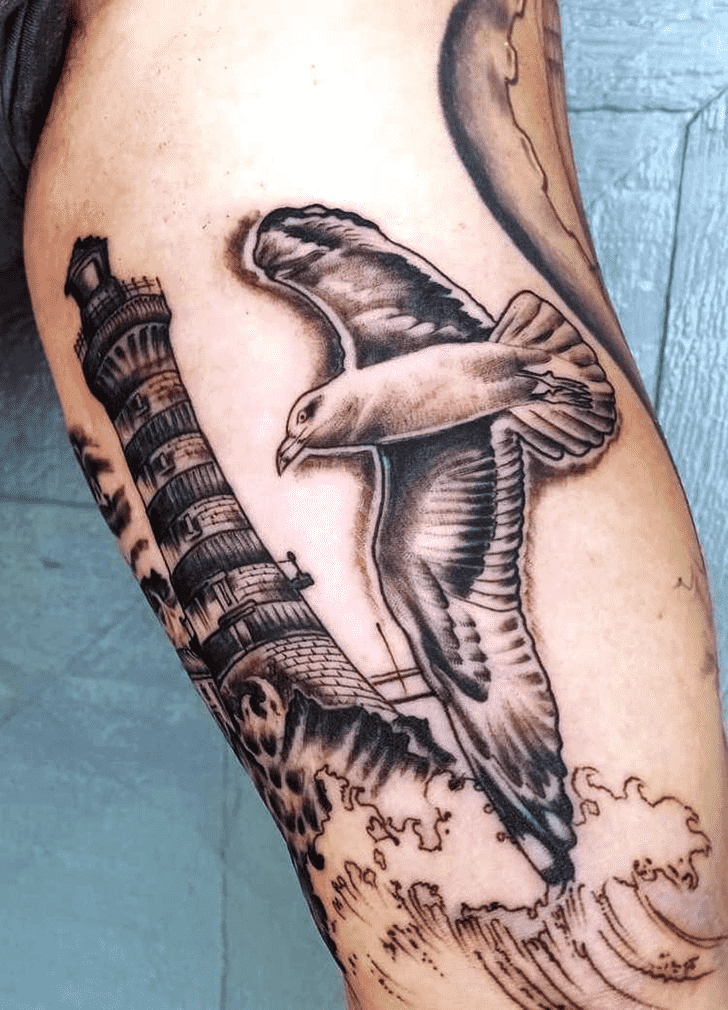 Seagull Tattoo Picture