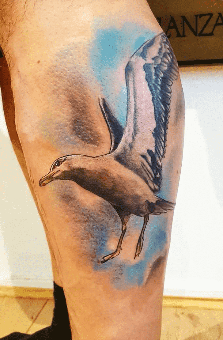 Seagull Tattoo Portrait