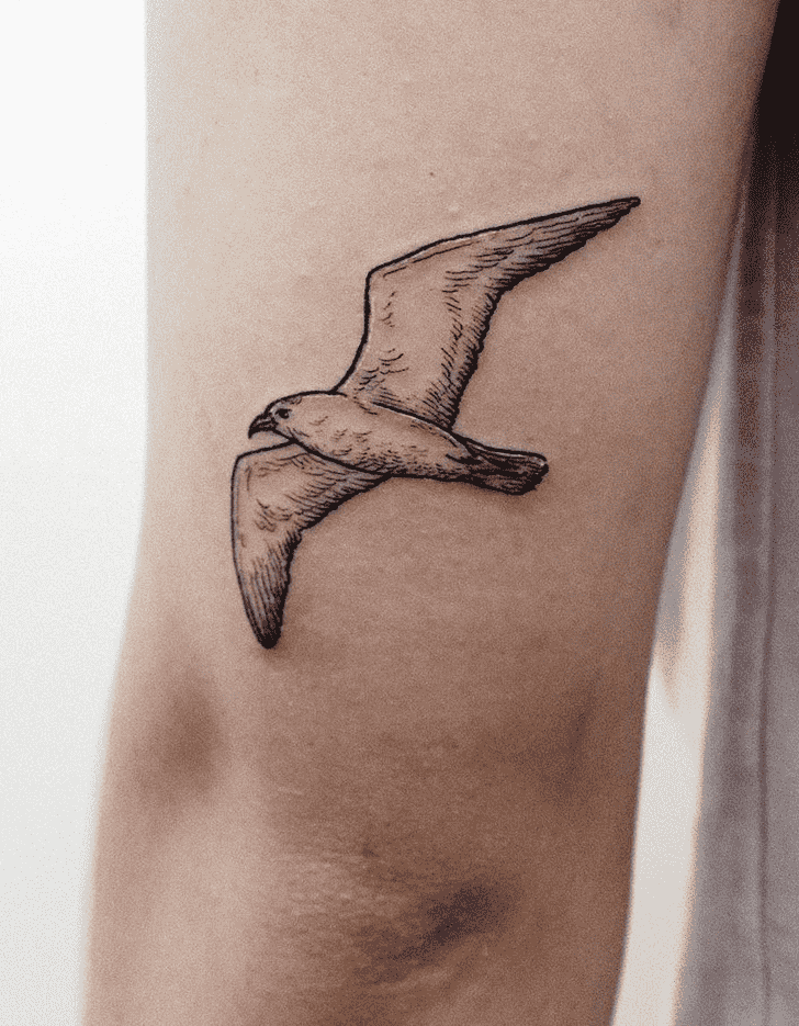 Seagull Tattoo Snapshot