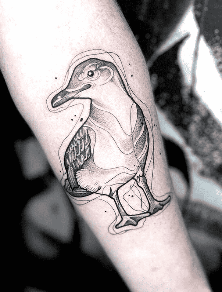 Seagull Tattoo Photograph