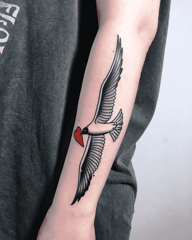 Seagull Tattoo Shot