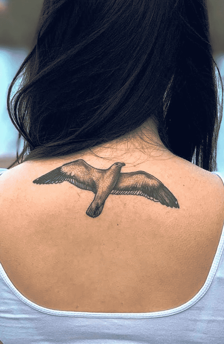 Seagull Tattoo Photo
