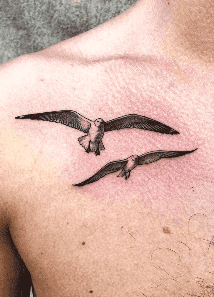Seagull Tattoo Snapshot