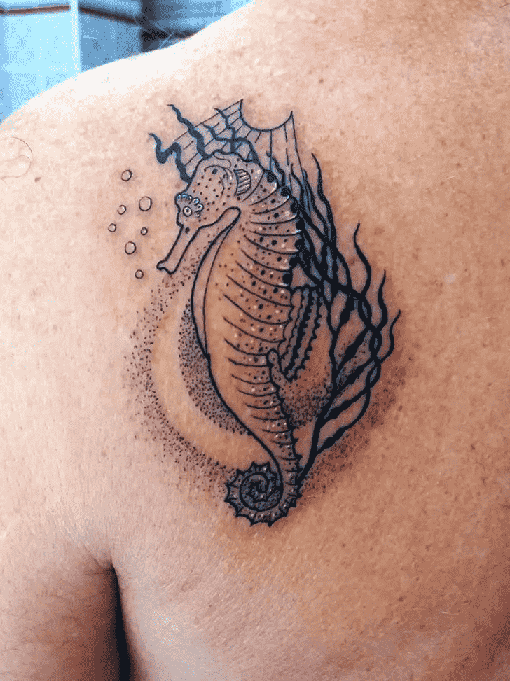 Seahorse Tattoo Picture