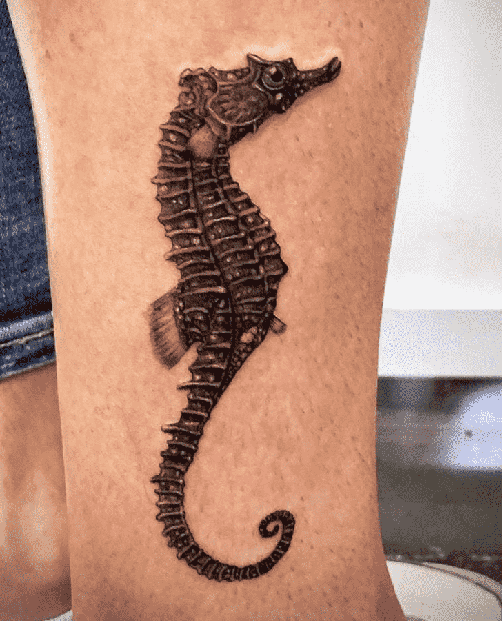 Seahorse Tattoo Photos