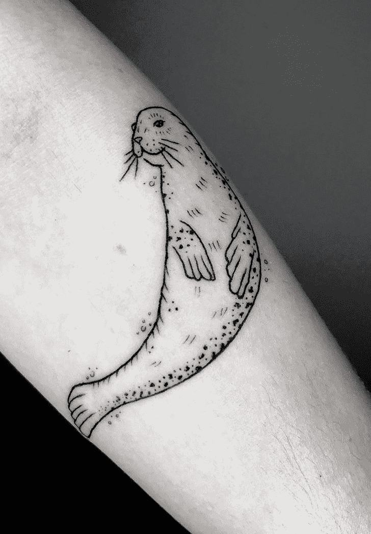 Seals Tattoo Photo