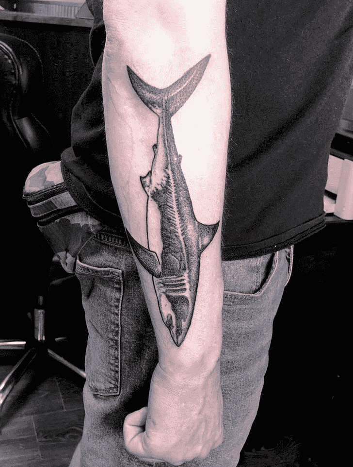 Shark Tattoo Photos