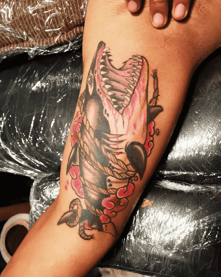 Shark Tattoo Portrait