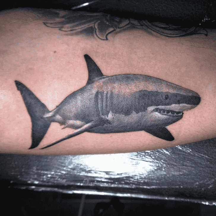 Shark Tattoo Snapshot