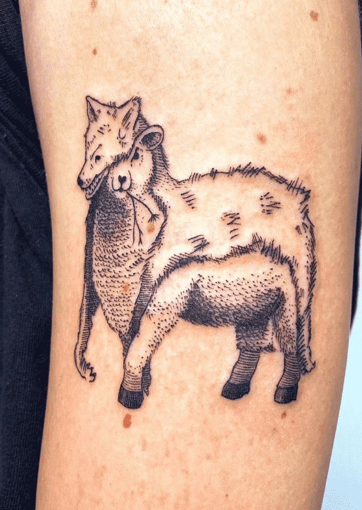 Sheep Tattoo Picture